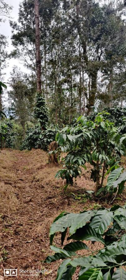 La Paz Coorg Homestay At Madikeri Town المظهر الخارجي الصورة